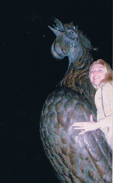 Havana Metal Rooster